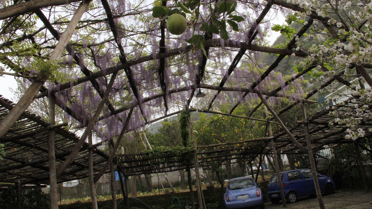 Photo of Outdoor in Sant'Agnello