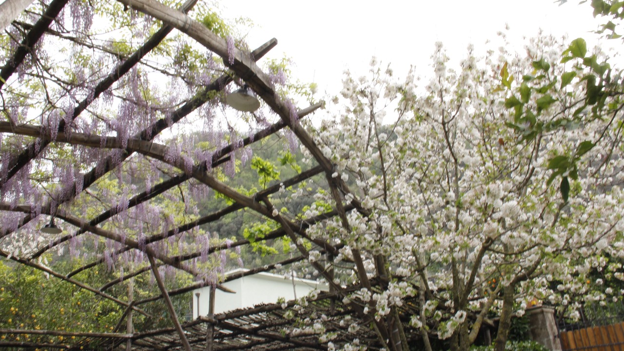 Photo of Outdoor in Sant'Agnello