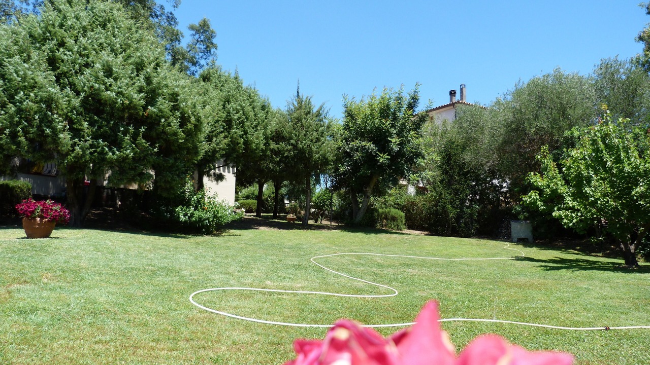 Photo of Outdoor in Tanaunella