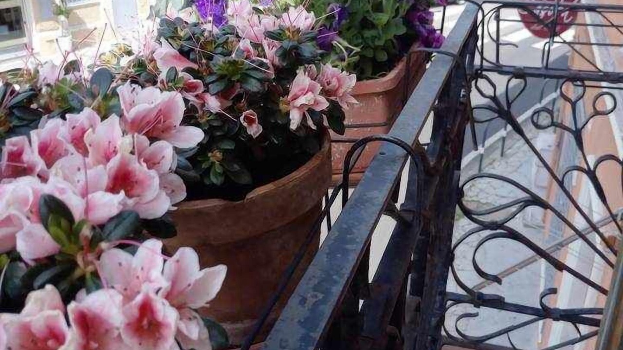 Photo of Outdoor in Olbia City Centre