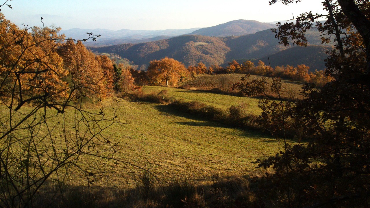 Photo of Others in Motina