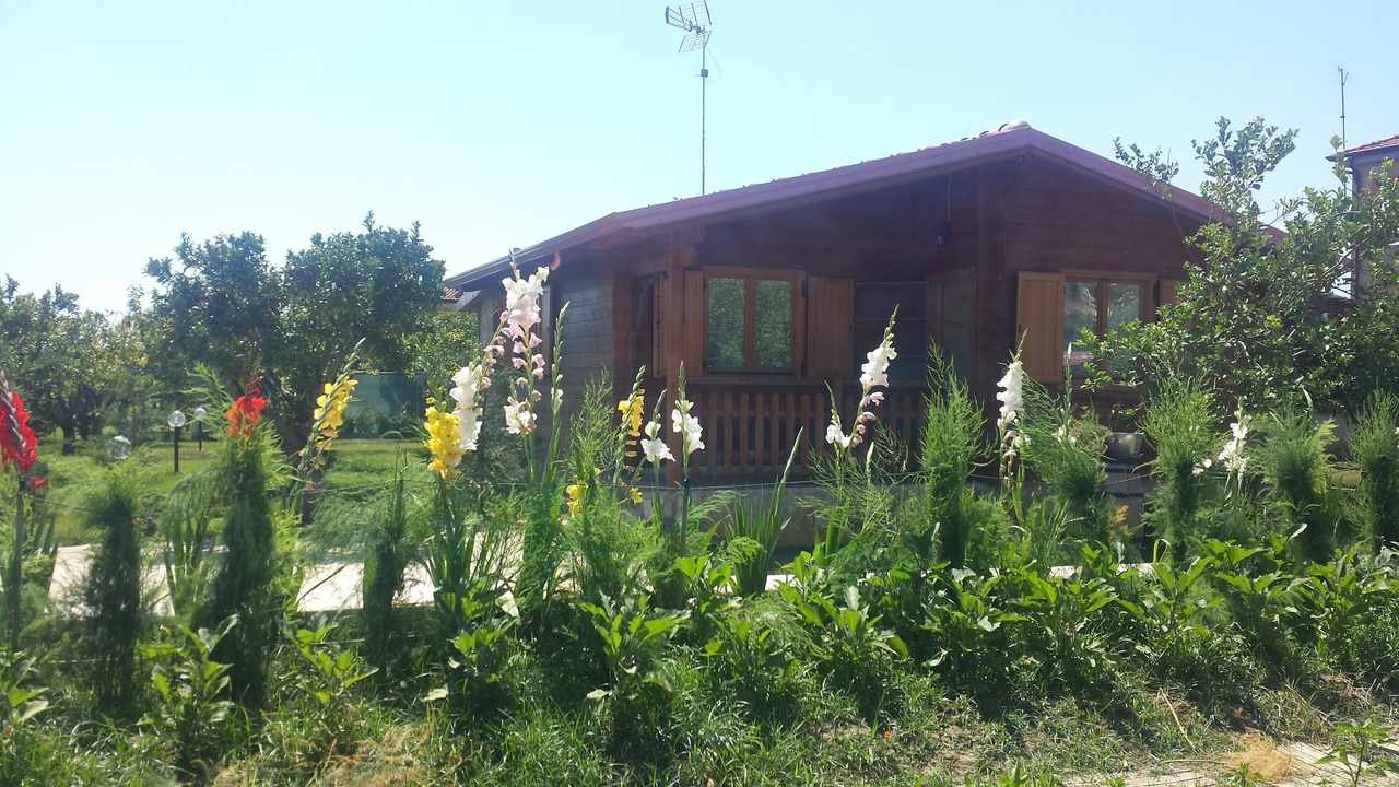 Photo of Outdoor in Crotone