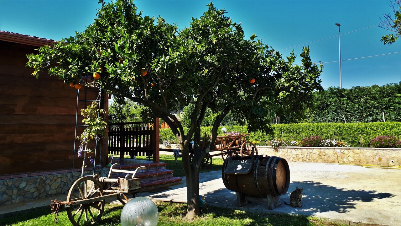 Photo of Outdoor in Crotone
