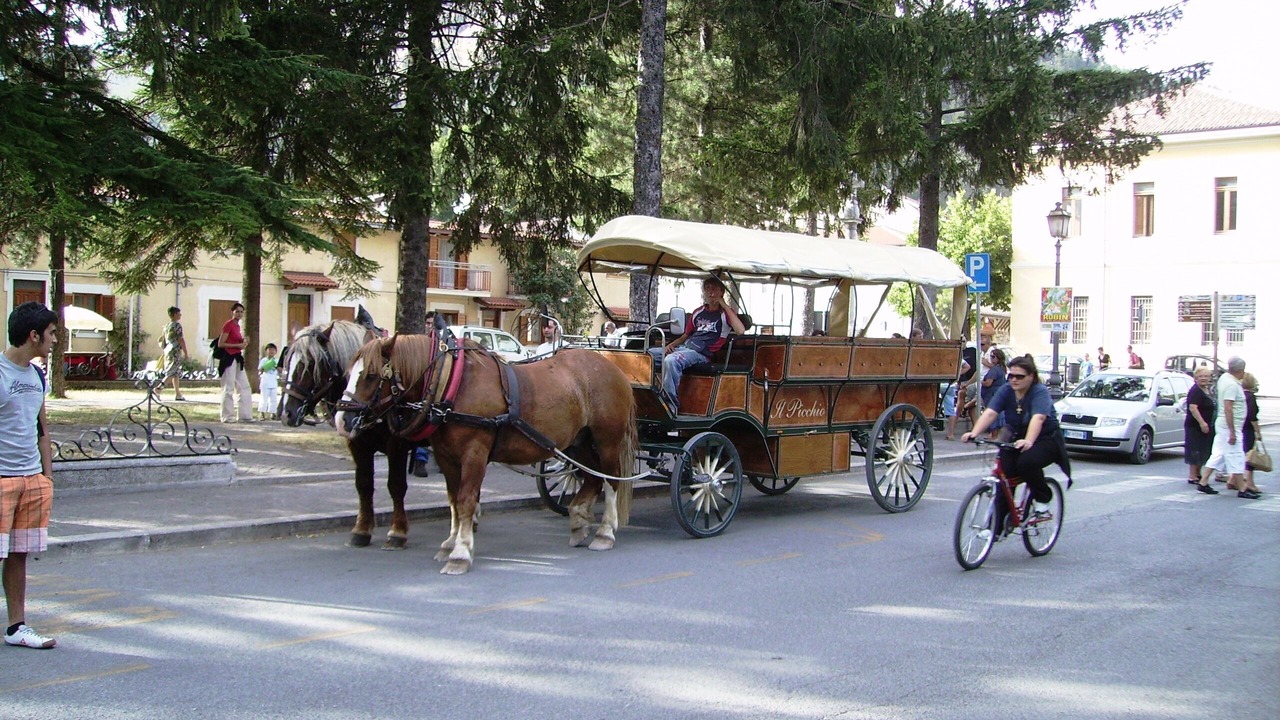 Photo of Others in Pescasseroli
