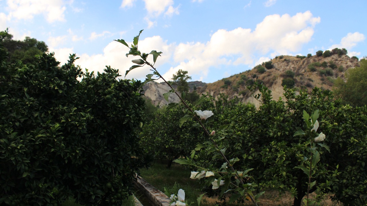 Photo of Outdoor in Stilo