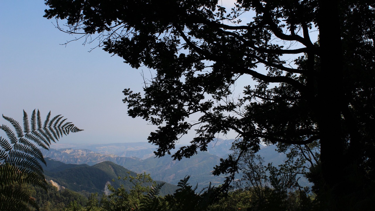 Photo of Outdoor in Stilo
