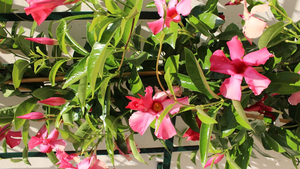 Photo of Outdoor in Stilo