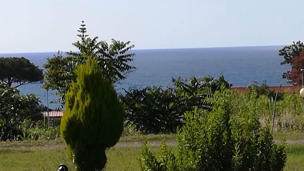 Photo of Others in Parghelia