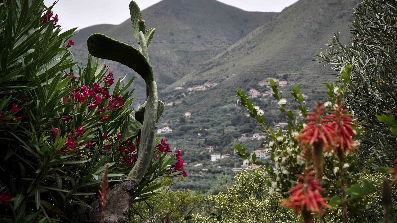 Photo of Outdoor in Pagnano