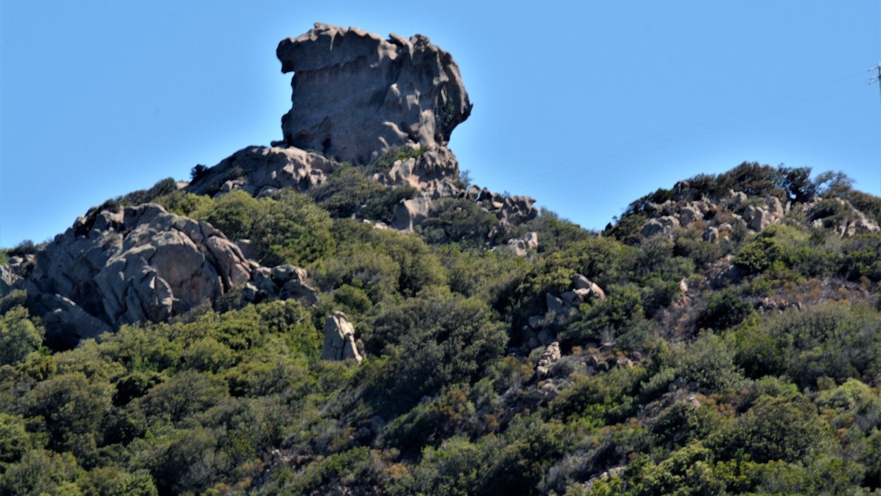Photo of Outdoor in Arzachena