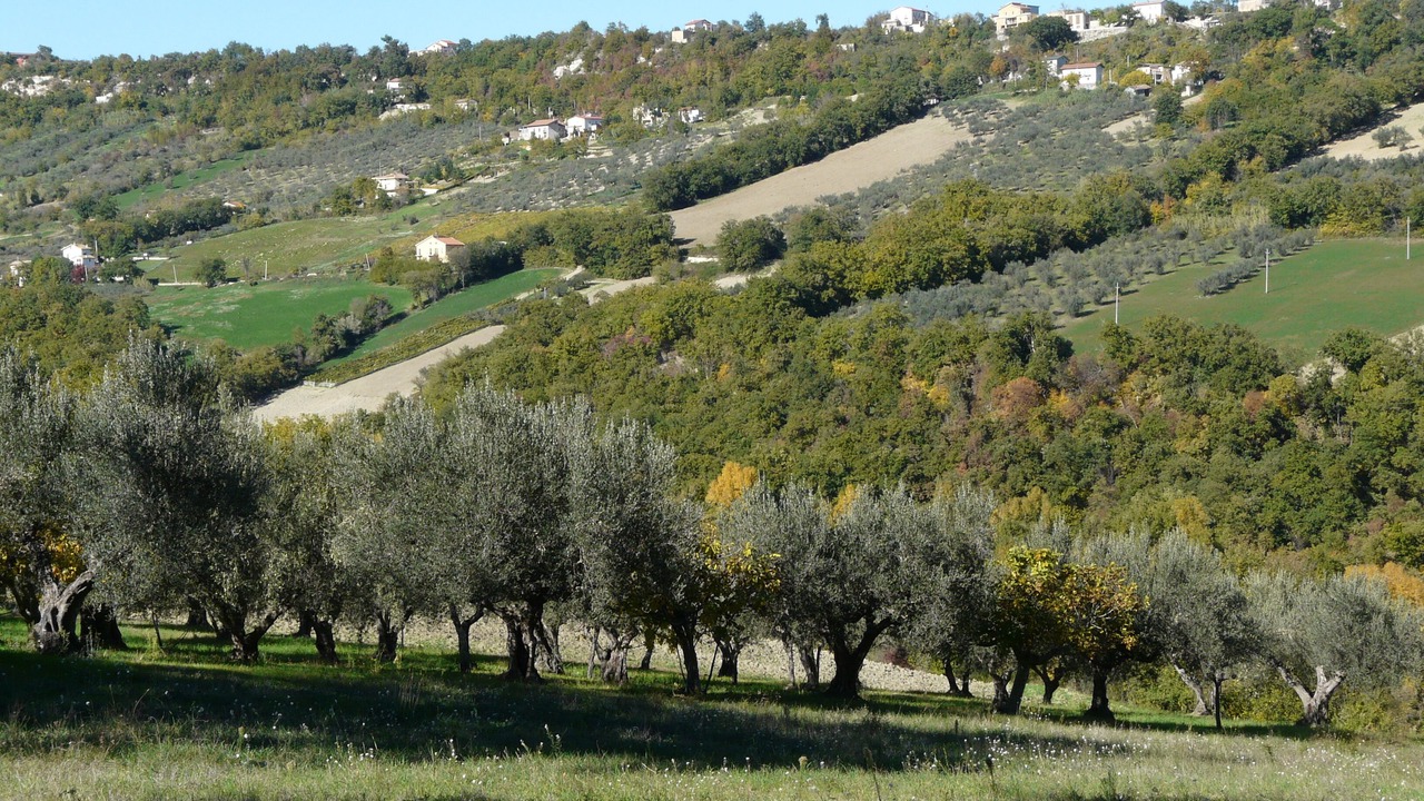 Photo of Others in Casoli