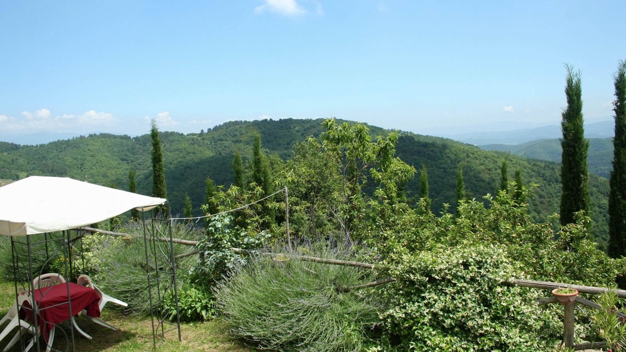 Photo of Outdoor in Starda