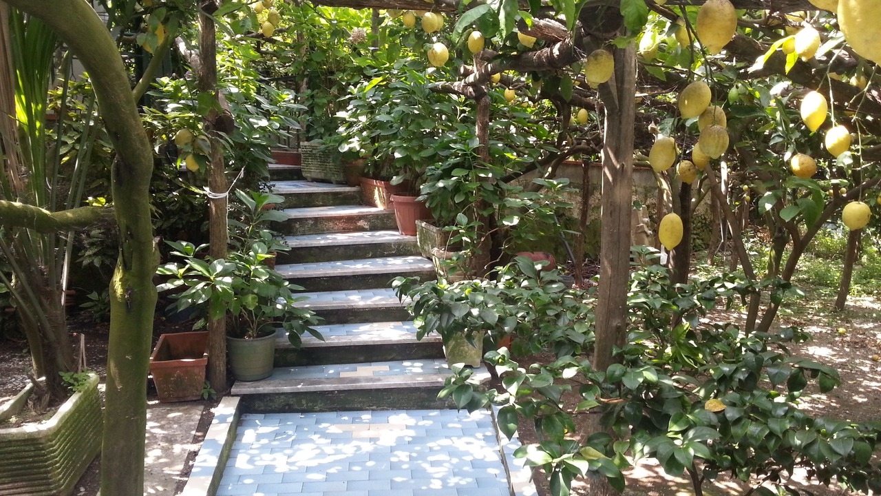 Photo of Outdoor in Maiori