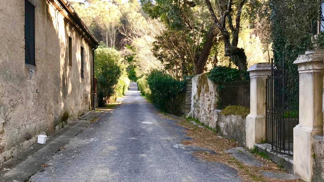 Photo of Outdoor in Ciro