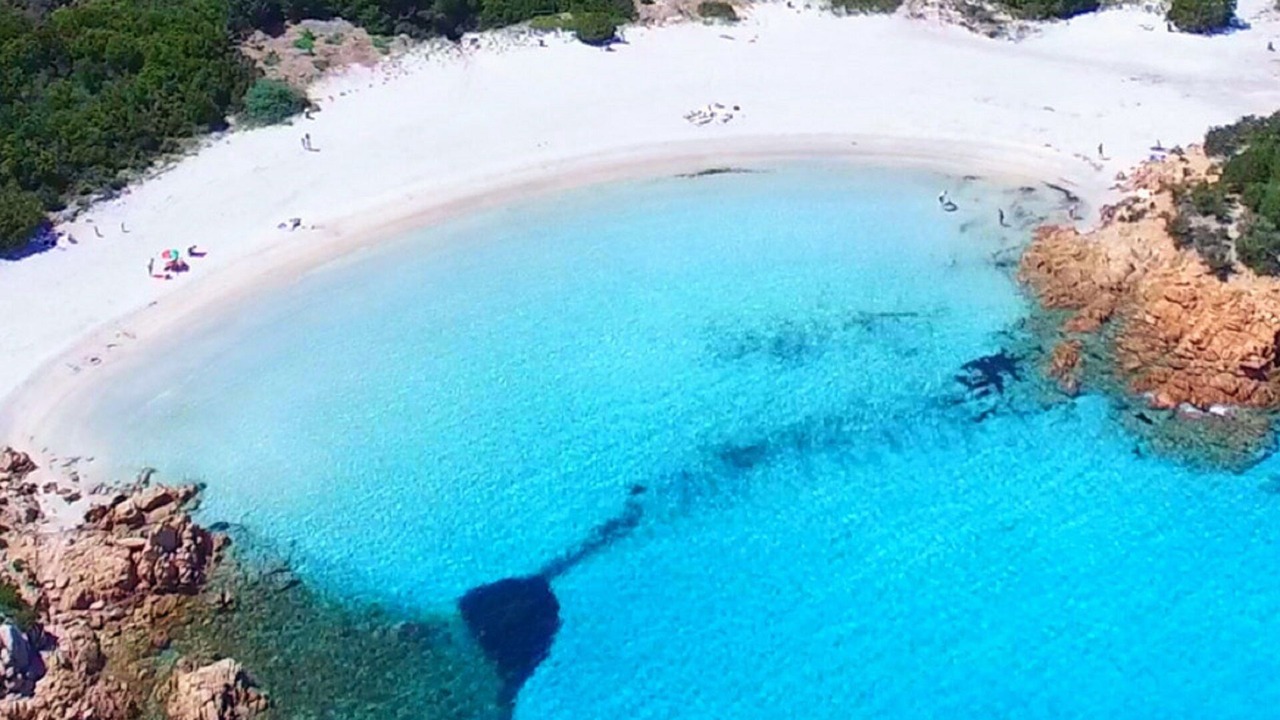 Photo of Others in Porto Cervo