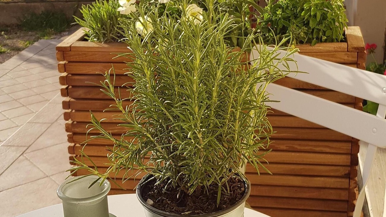 Photo of Patio Balcony in San Feliciano