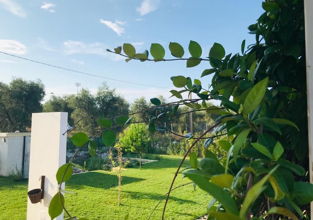 Photo of Outdoor in Scialara