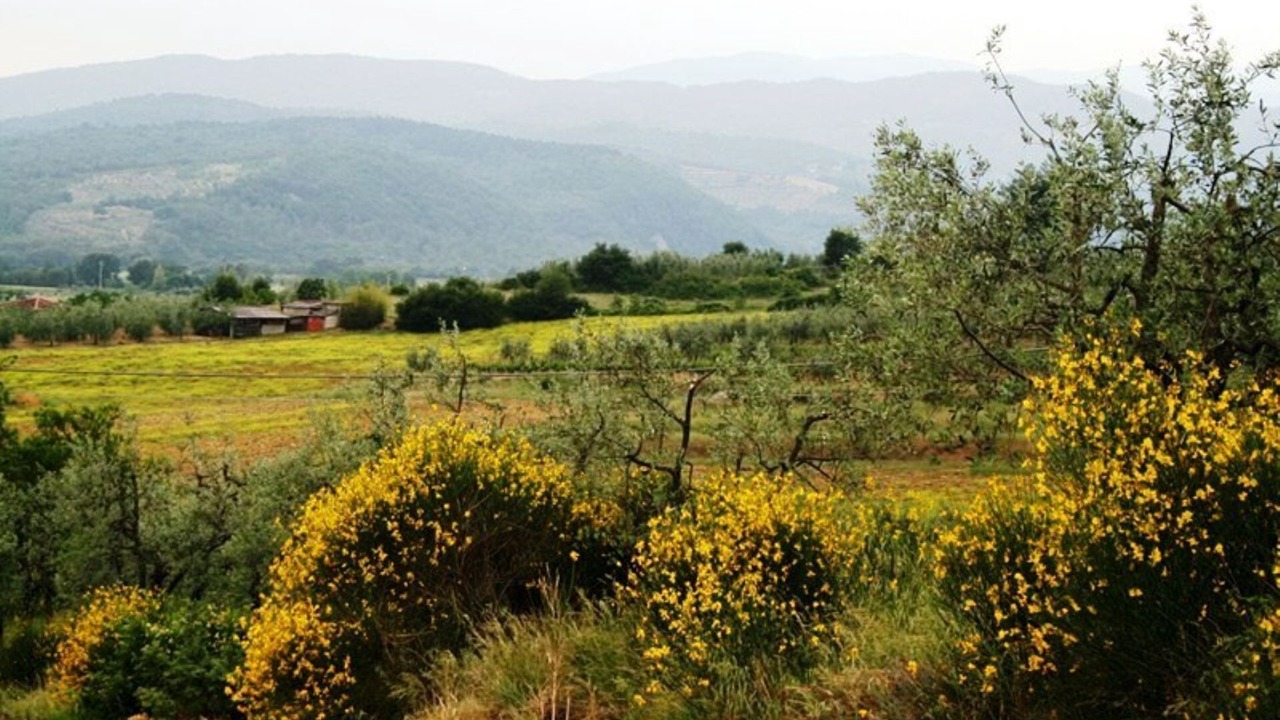 Photo of Outdoor in Ponte Buriano