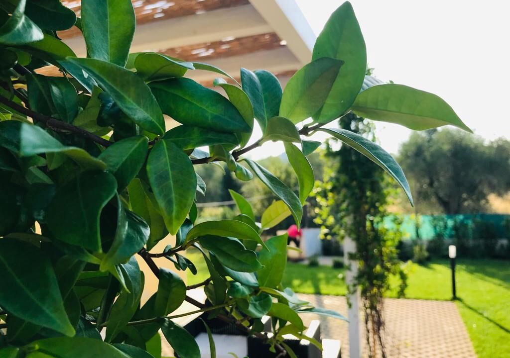 Photo of Outdoor in Scialara
