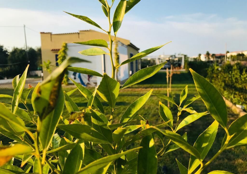 Photo of Outdoor in Scialara