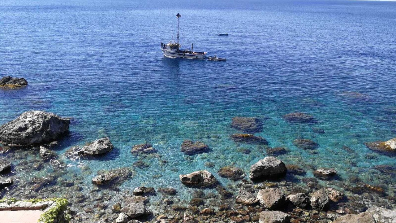 Photo of Others in Scilla