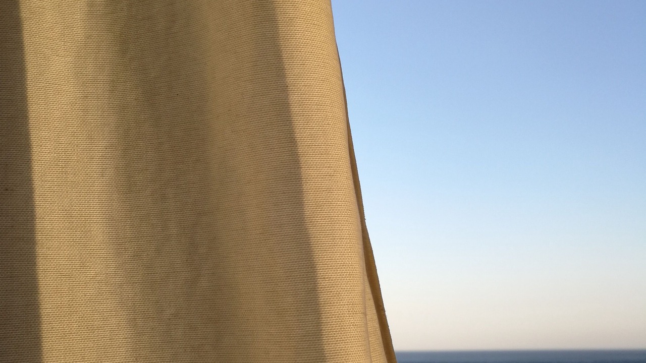 Photo of Others in Scilla