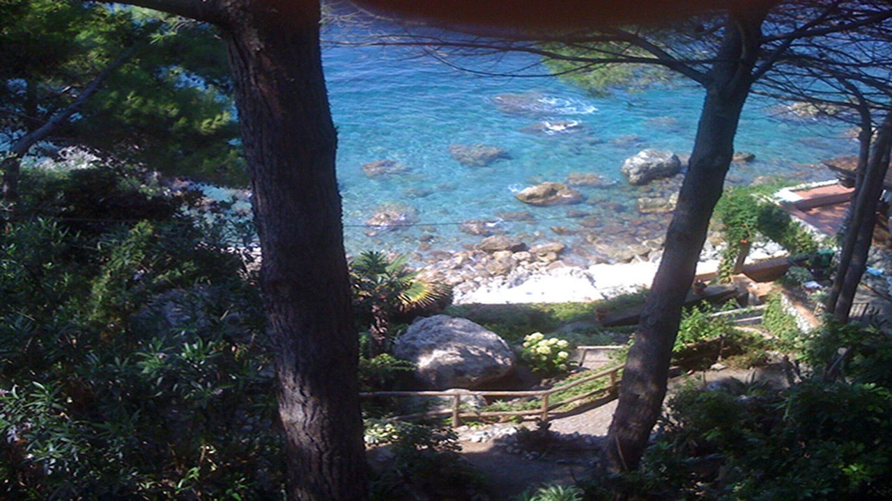 Photo of Outdoor in Scilla