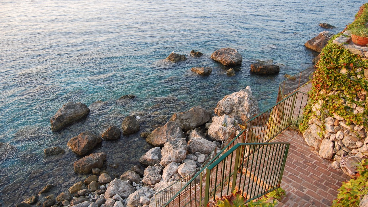 Photo of Others in Scilla