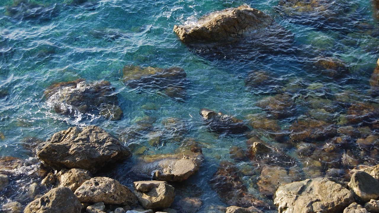 Photo of Others in Scilla