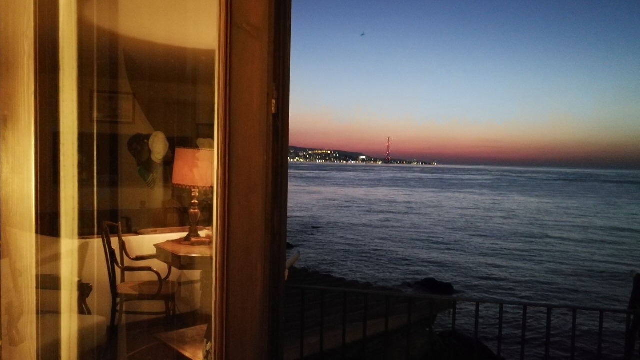 Photo of Others in Scilla
