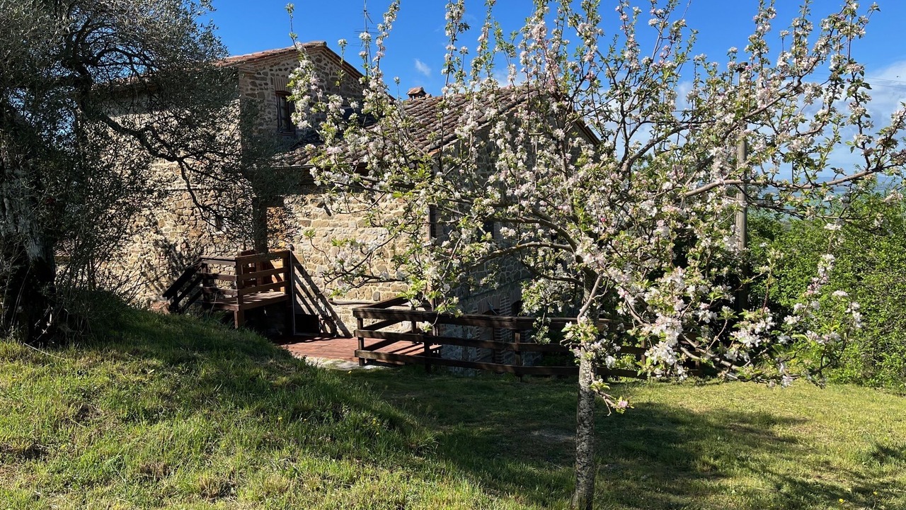 Photo of Outdoor in Passignano sul Trasimeno