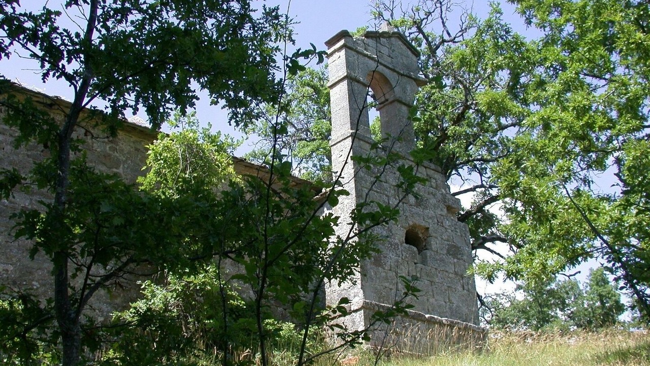 Photo of Others in Chiusi della Verna