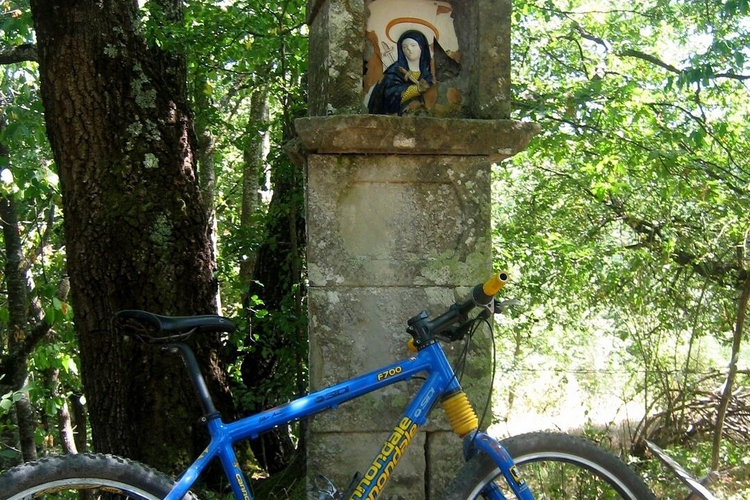 Photo of Others in Chiusi della Verna