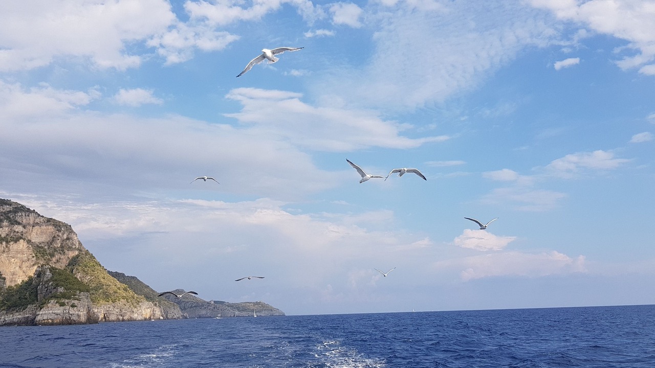 Photo of Others in Marina Di Camerota