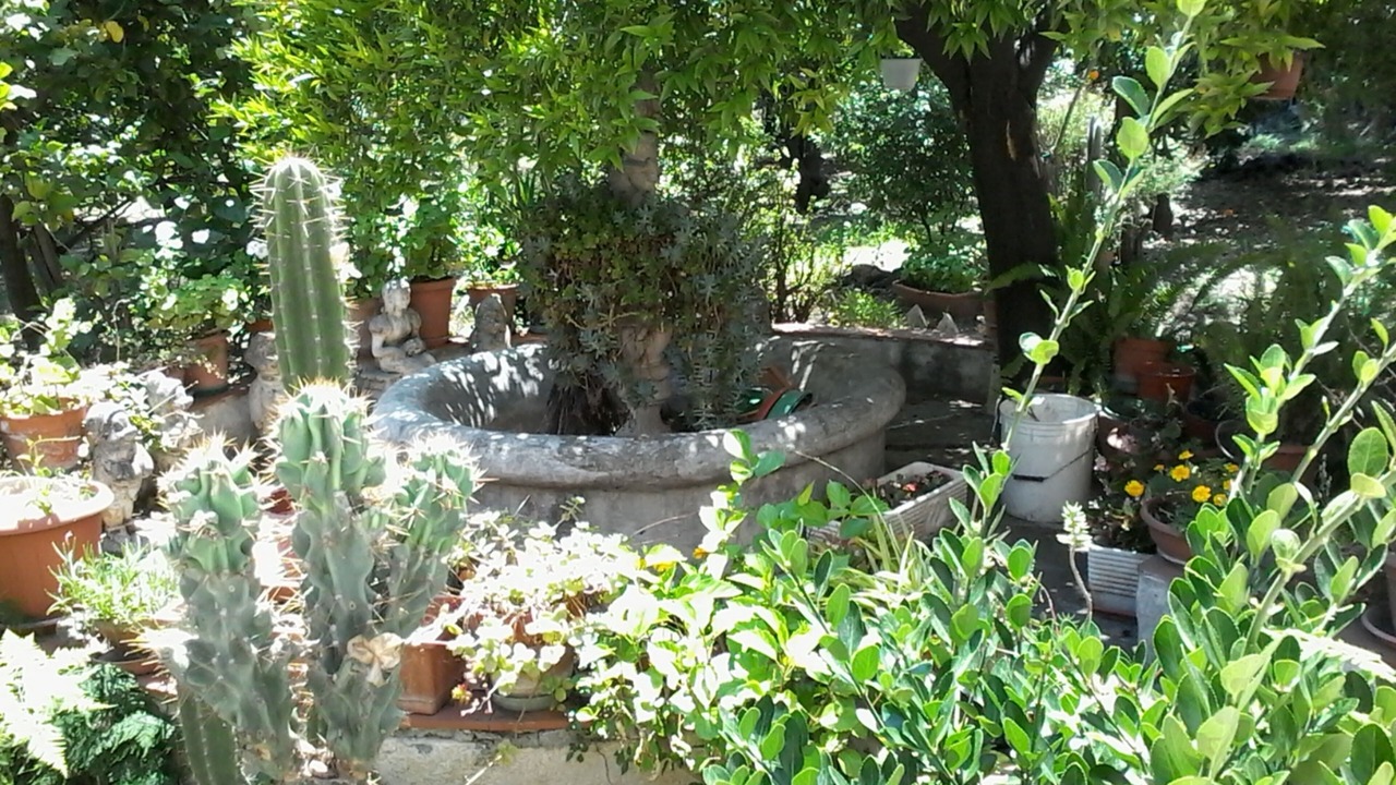 Photo of Outdoor in Torre Annunziata