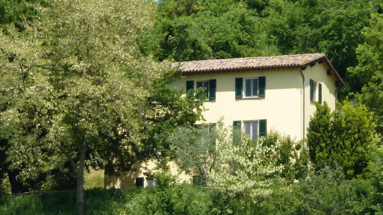 Photo of Others in San Michele in Teverina