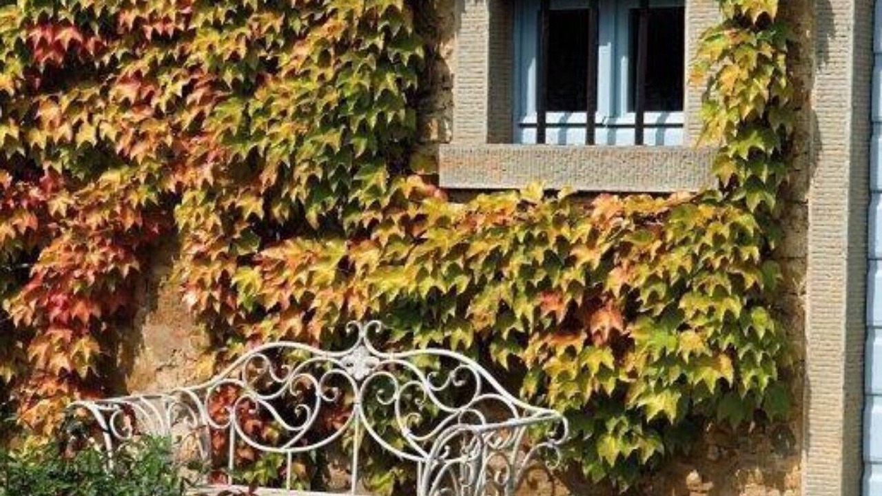 Photo of Outdoor in Arezzo