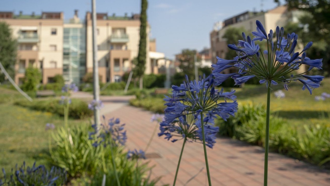 Photo of Outdoor in Marebello