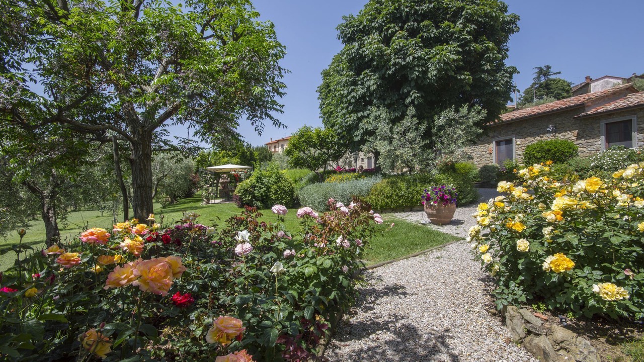 Photo of Outdoor in Camucia
