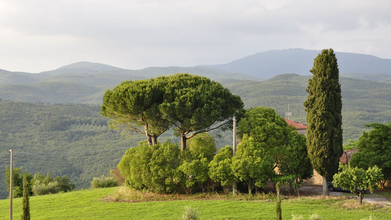 Photo of Outdoor in Massa Marittima