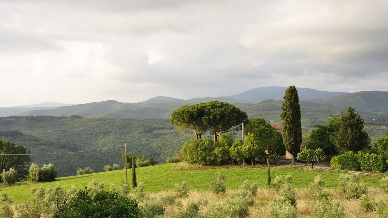 Photo of Outdoor in Massa Marittima