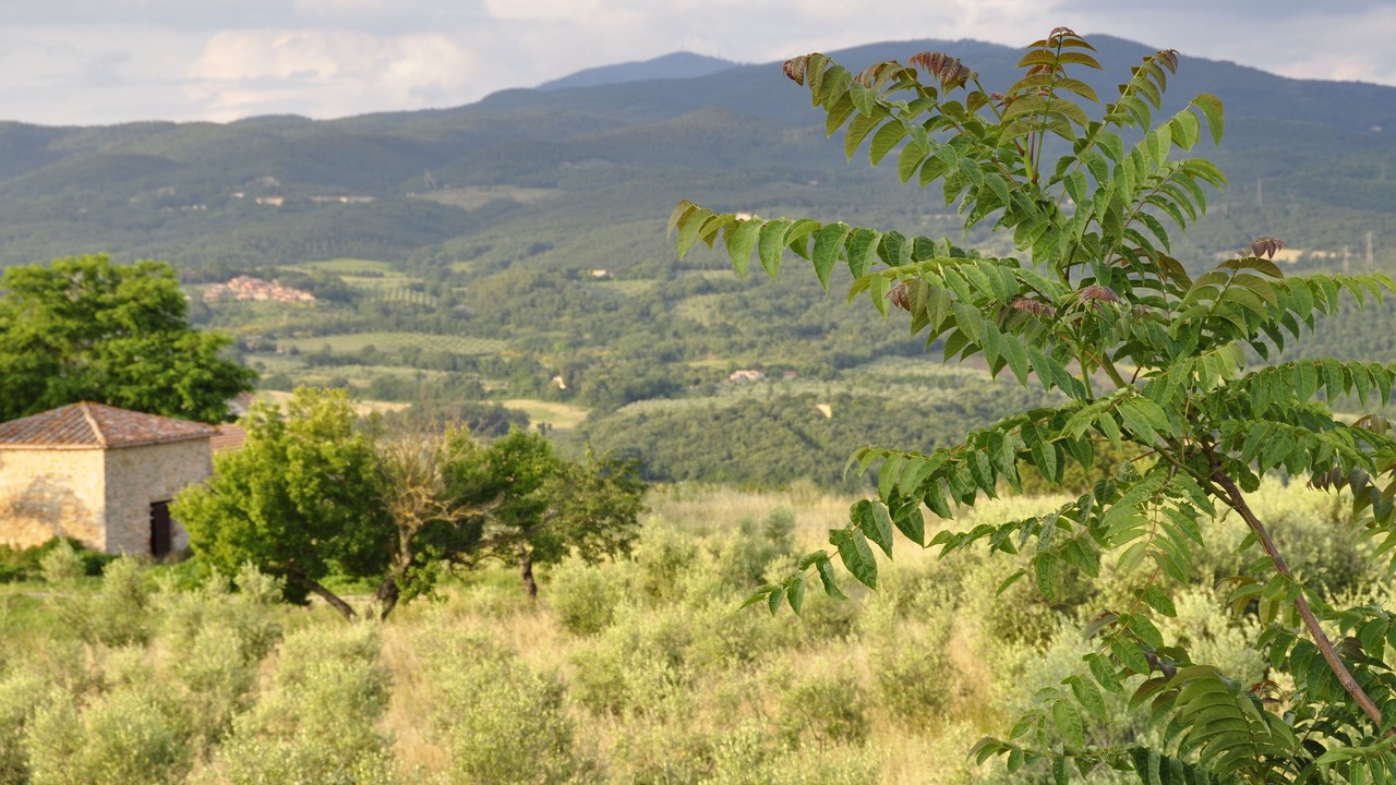 Photo of Outdoor in Massa Marittima