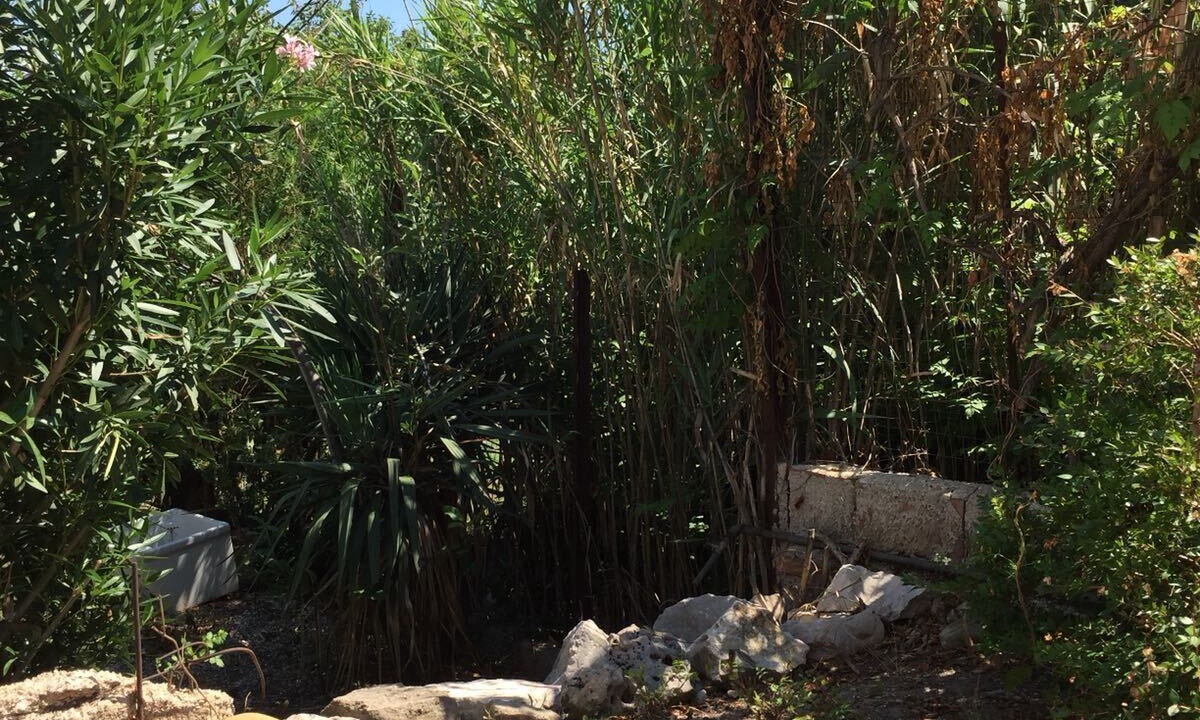 Photo of Outdoor in Taranto