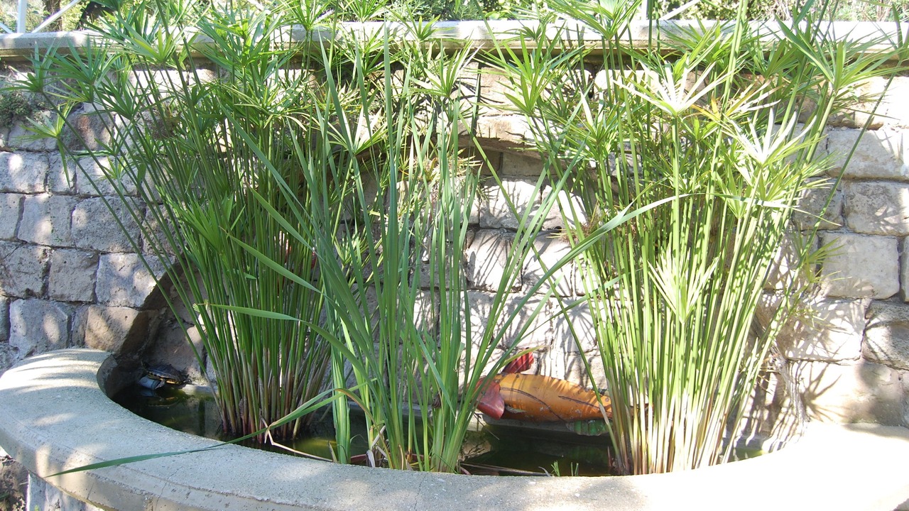 Photo of Outdoor in Casola di Napoli