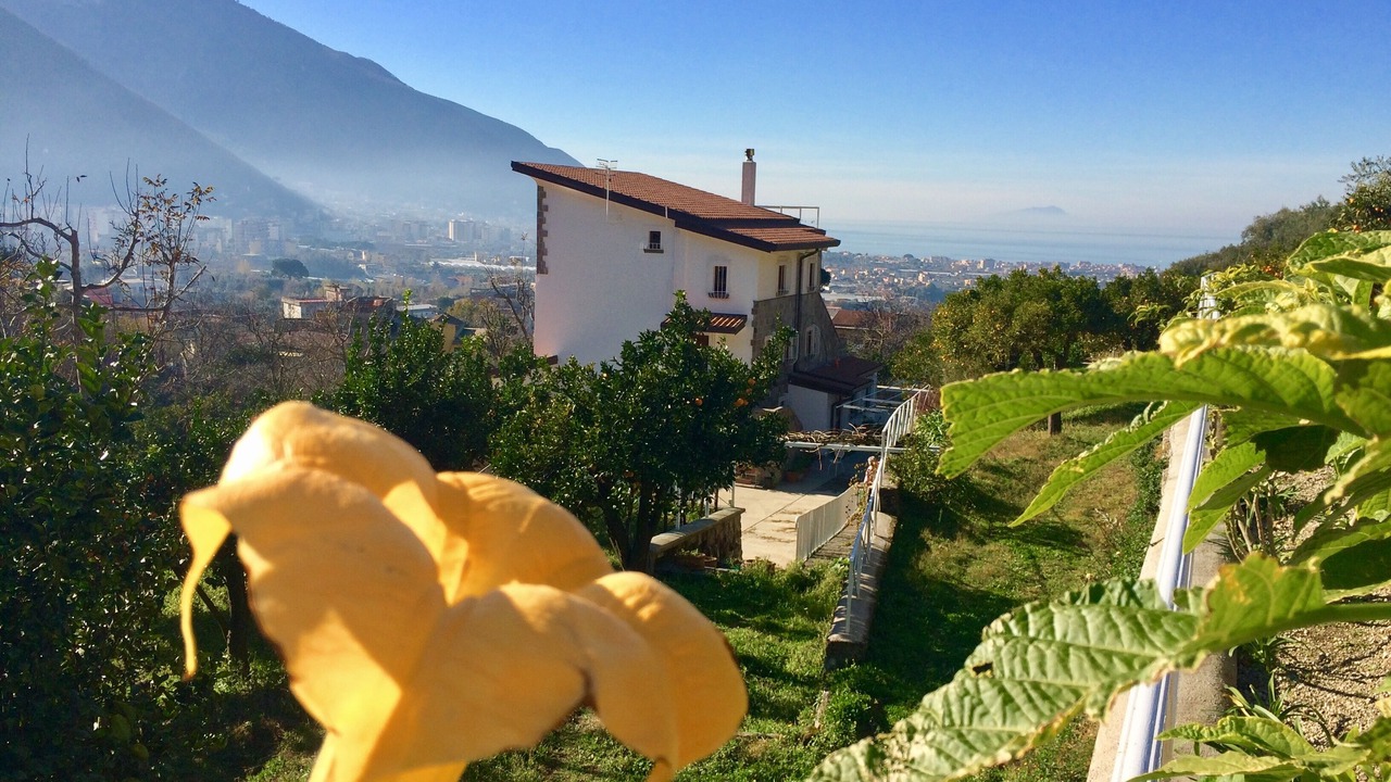 Photo of Outdoor in Casola di Napoli