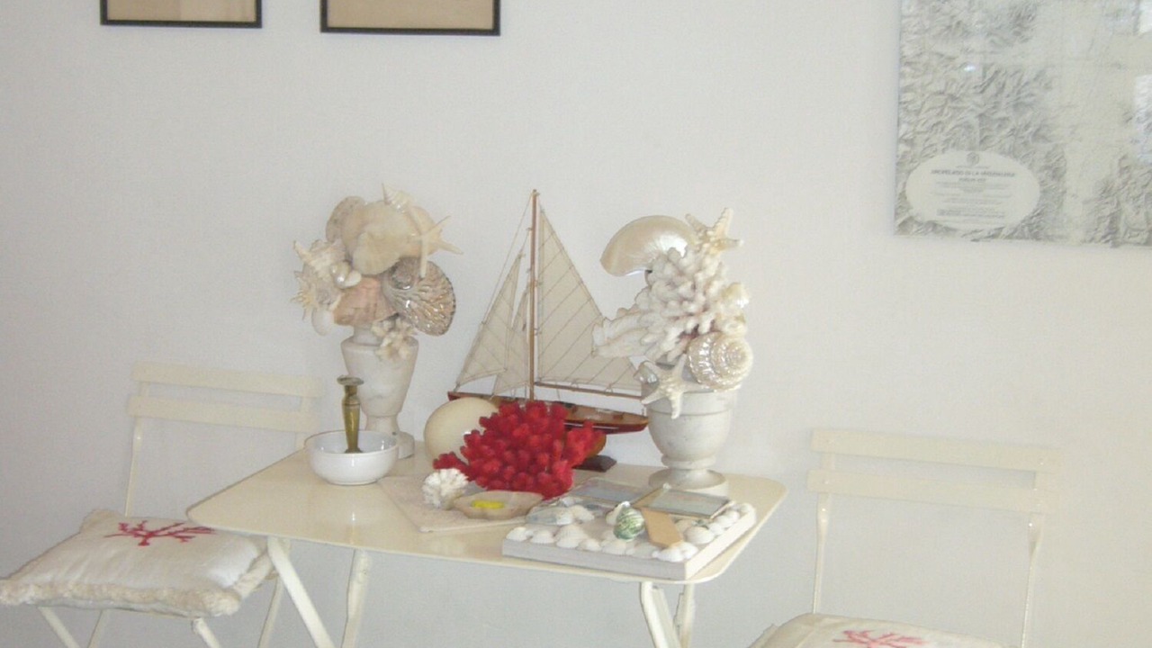 Photo of Others in La Maddalena