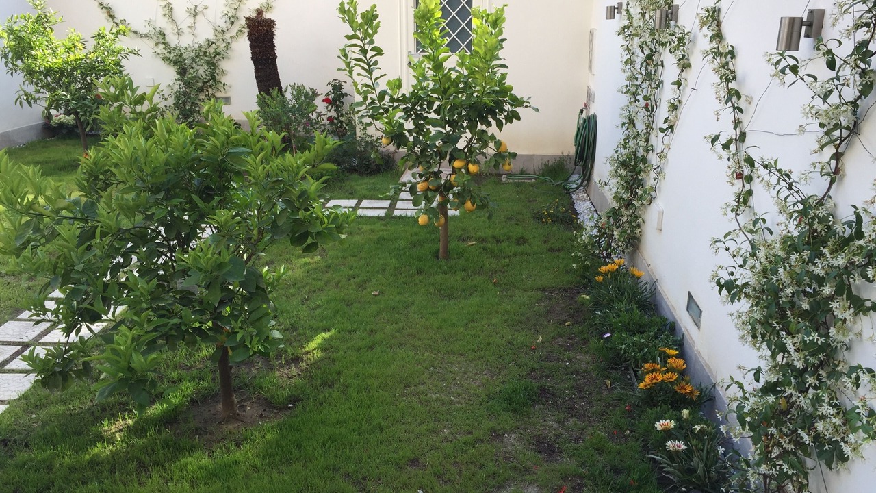 Photo of Outdoor in Montecalvario