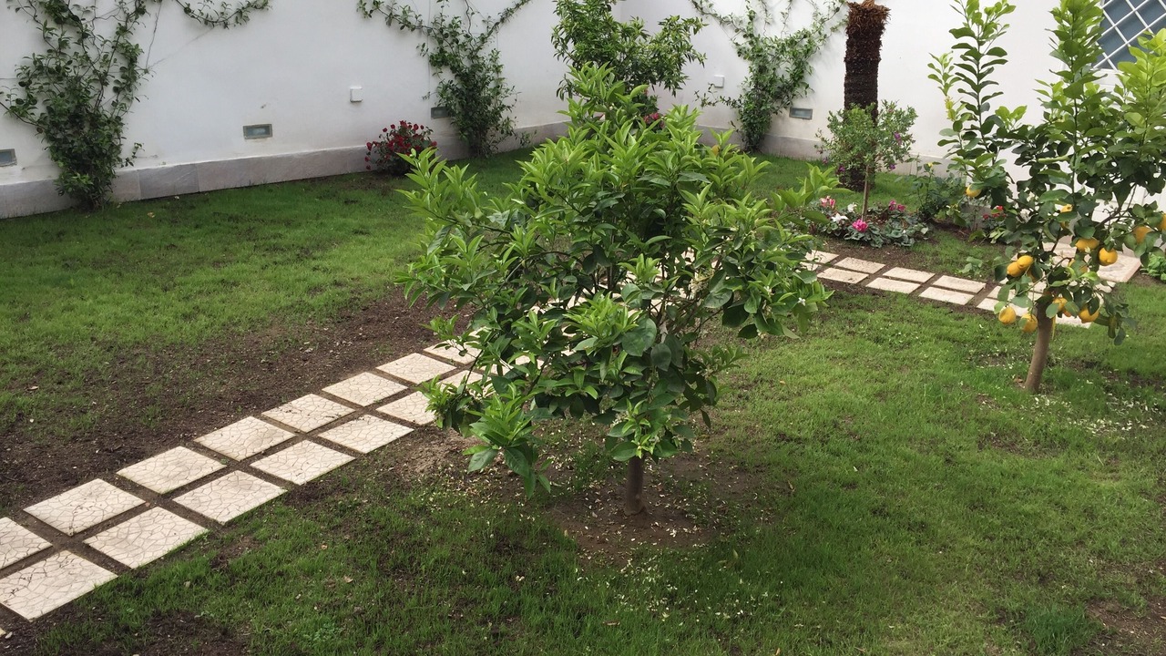 Photo of Outdoor in Montecalvario