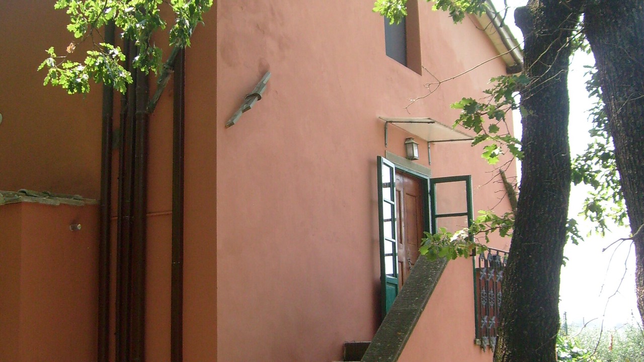 Photo of Outdoor in Twist