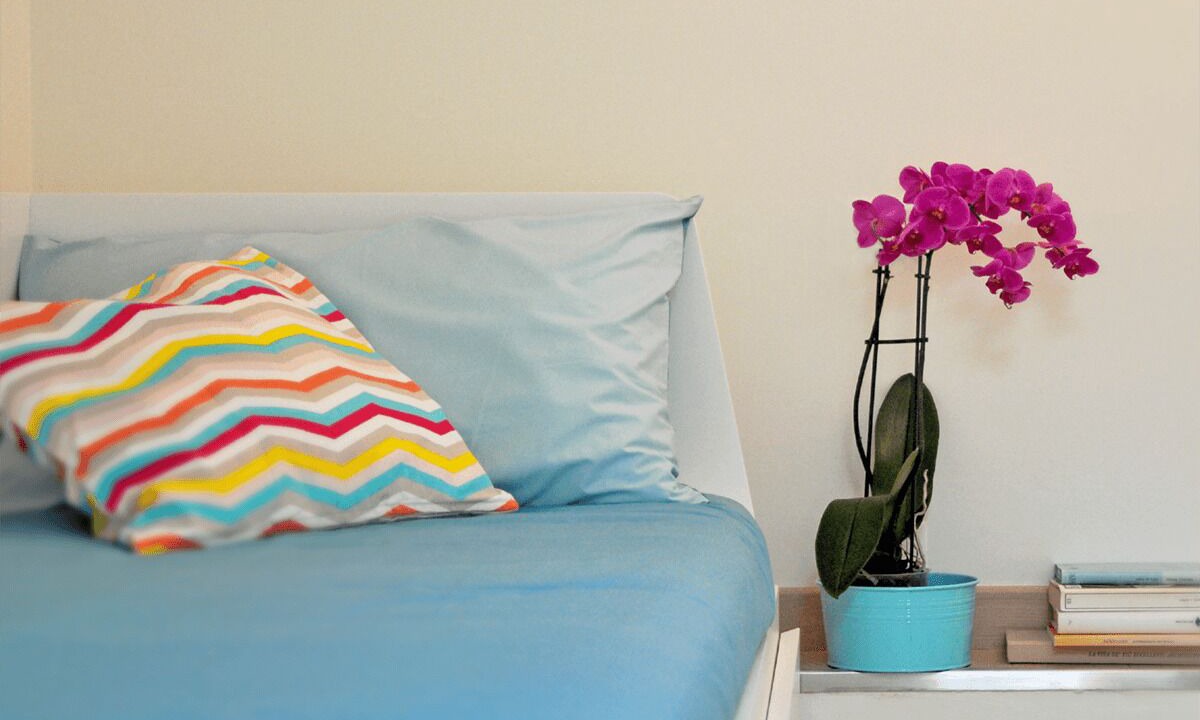 Photo of Bedroom in Civitanova Marche